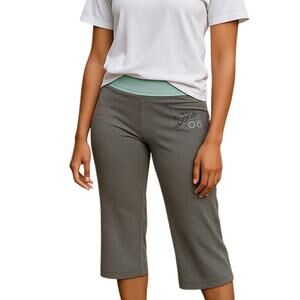 Aerie Yoga Capri Pants Small Wide Leg Cropped Roll-Down Waist Lounge